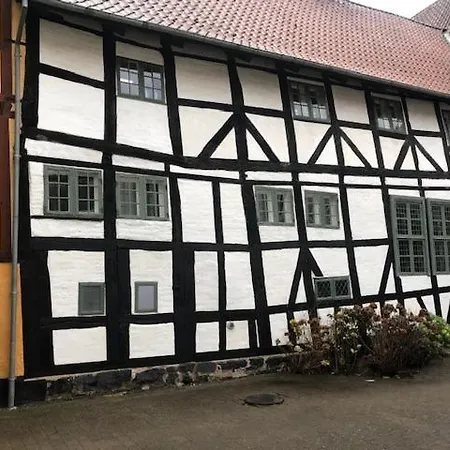 公寓 Stemningsfuld Lejlighed - 3 Minutters Gang Fra H.c. Andersens Hus 欧登塞